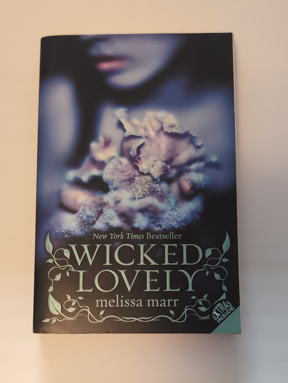 Harper Wicked Lovely Book in Teal and Black